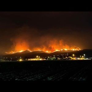 Meet your Posher, Ben